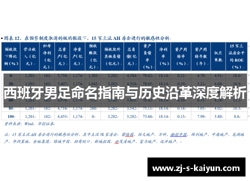 西班牙男足命名指南与历史沿革深度解析