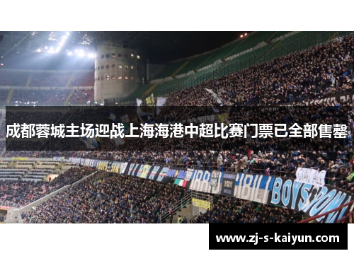 成都蓉城主场迎战上海海港中超比赛门票已全部售罄
