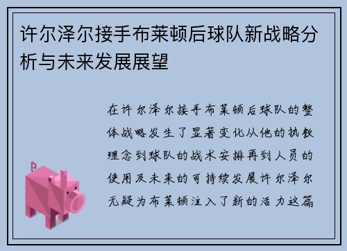 许尔泽尔接手布莱顿后球队新战略分析与未来发展展望 许尔泽尔接手布莱顿后球队新战略分析与未来发展展望